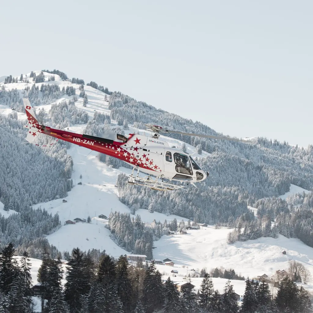 CR5A5838 QUADRAT.webp