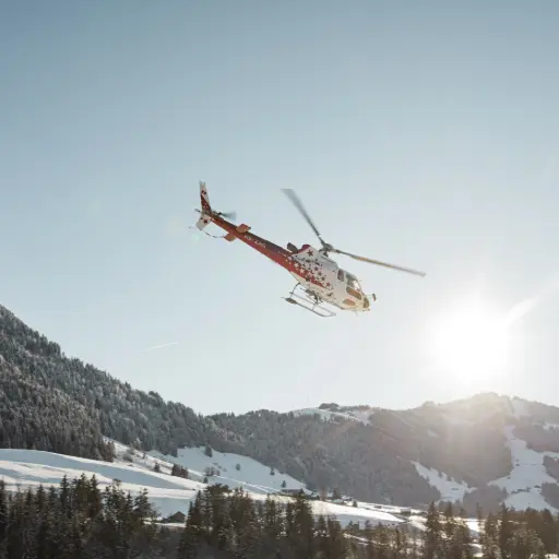 Bon cadeau vol panoramique (45 minutes)